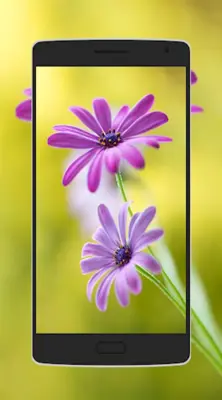 Flower Wallpaper android App screenshot 4