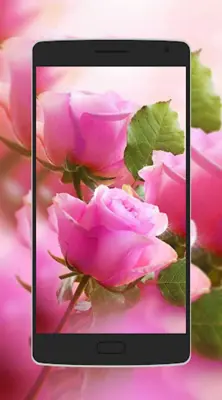 Flower Wallpaper android App screenshot 6